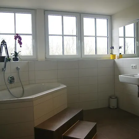 Cavallestro Classic Kitzingen