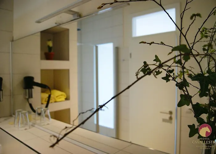 Cavallestro Classic Hotel 3*