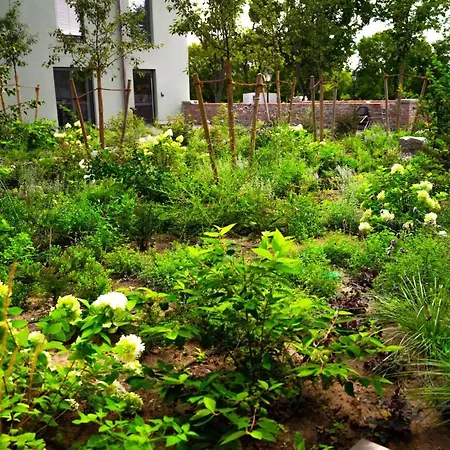 호텔 Cavallestro Classic 3*