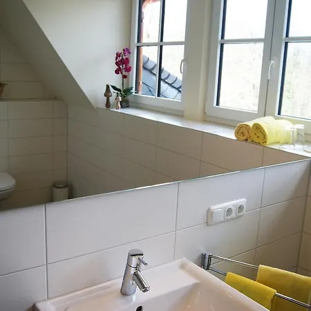 Cavallestro Classic 3*