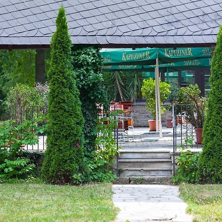 Cavallestro Classic Kitzingen